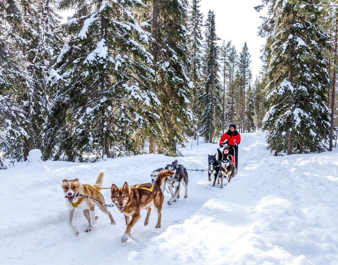 סינטה Lapland Hotels Bear'S Lodge מראה חיצוני תמונה